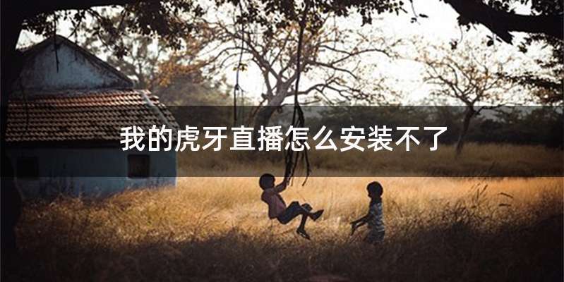我的虎牙直播怎么安装不了