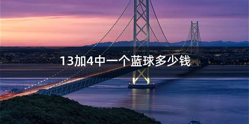 13加4中一个蓝球多少钱