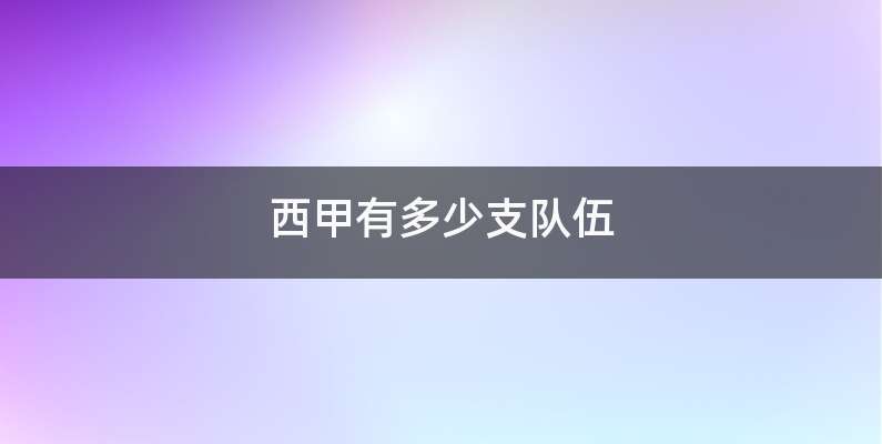 西甲有多少支队伍