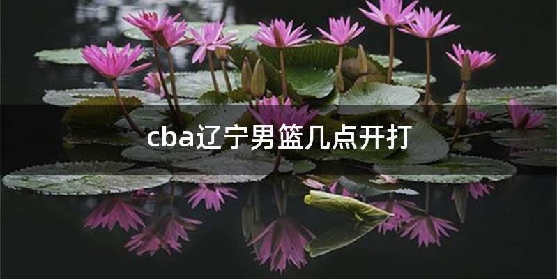 cba辽宁男篮几点开打