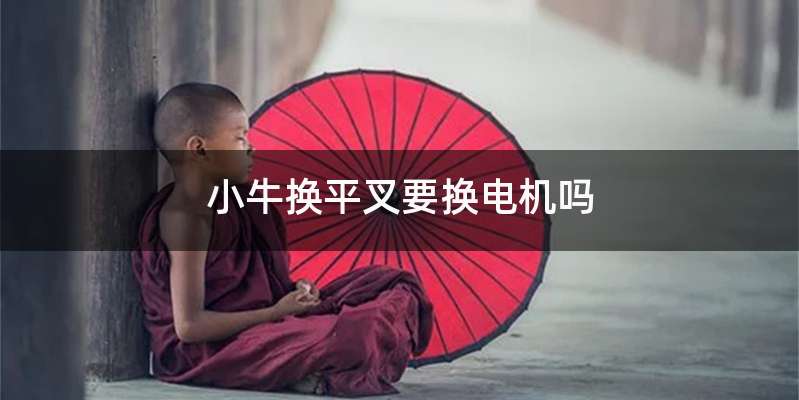 小牛换平叉要换电机吗