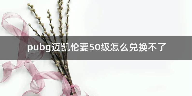 pubg迈凯伦要50级怎么兑换不了