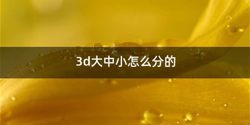 3d大中小怎么分的