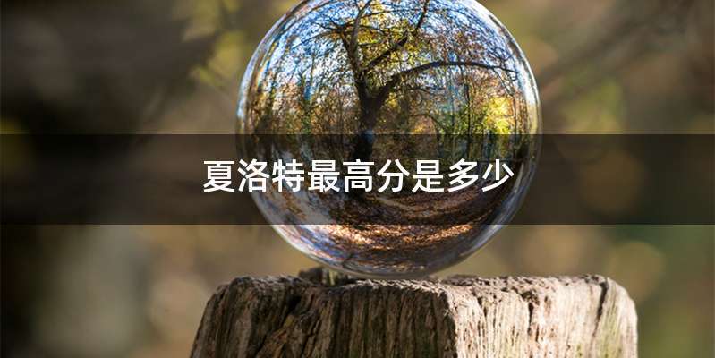 夏洛特最高分是多少