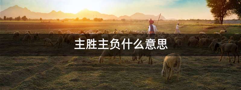 主胜主负什么意思