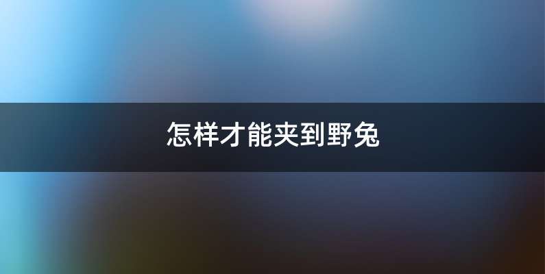 怎样才能夹到野兔