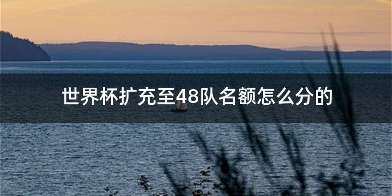 世界杯扩充至48队名额怎么分的