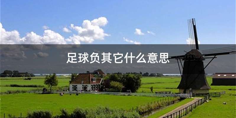 足球负其它什么意思