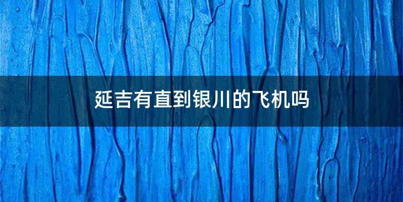 延吉有直到银川的飞机吗