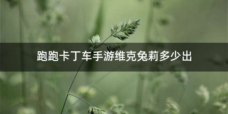 跑跑卡丁车手游维克兔莉多少出