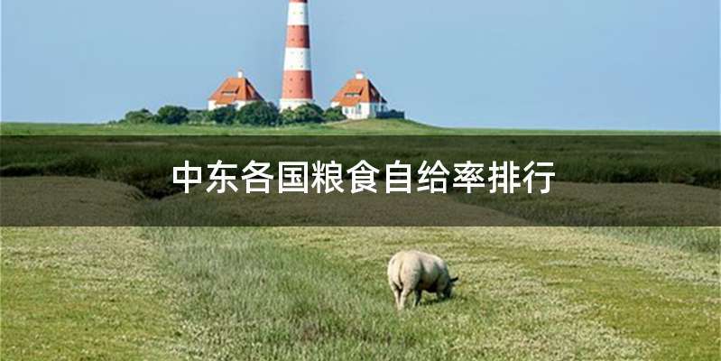 中东各国粮食自给率排行