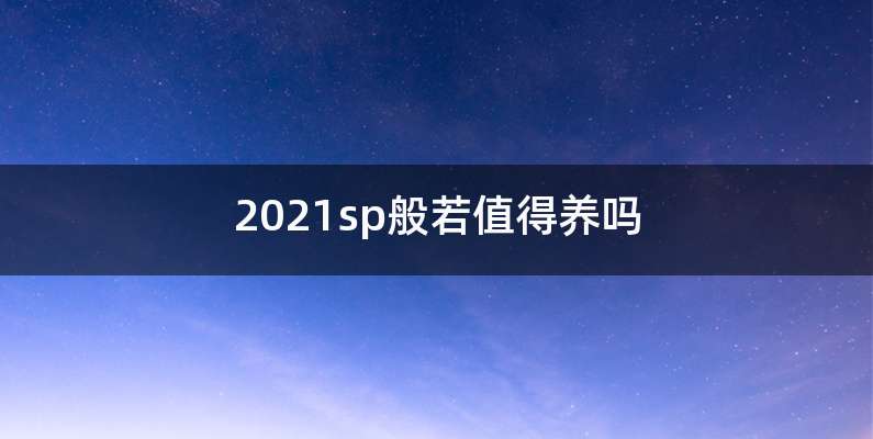2021sp般若值得养吗