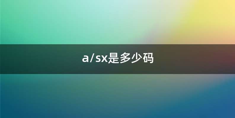 a/sx是多少码