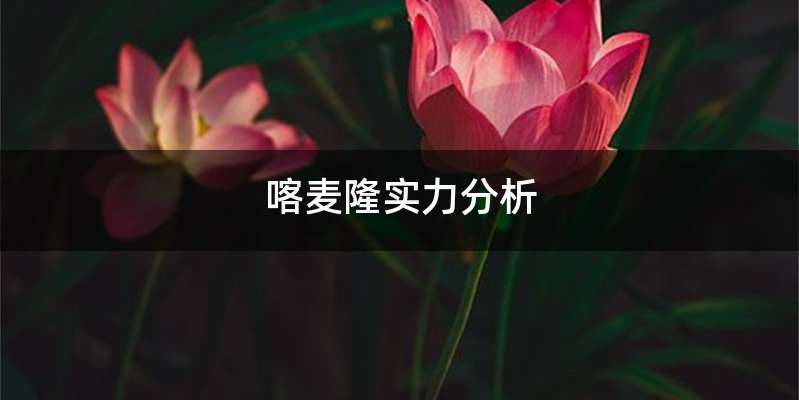 喀麦隆实力分析