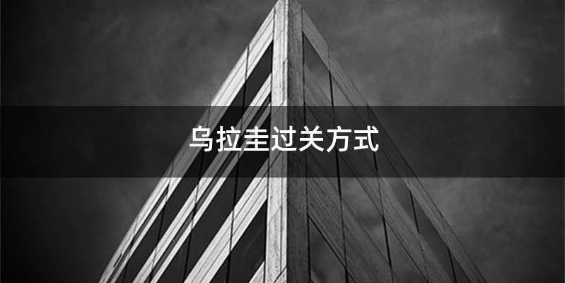 乌拉圭过关方式