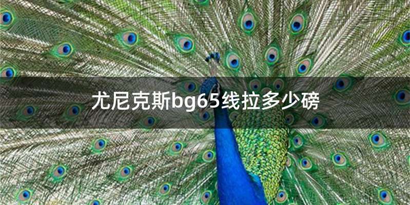 尤尼克斯bg65线拉多少磅