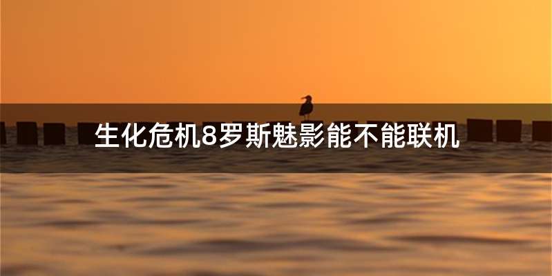 生化危机8罗斯魅影能不能联机