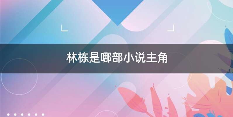 林栋是哪部小说主角