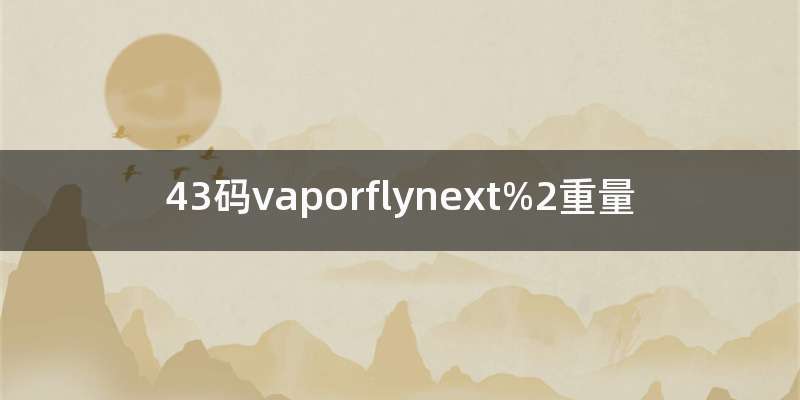43码vaporflynext%2重量