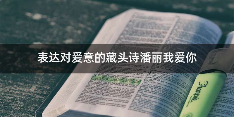 表达对爱意的藏头诗潘丽我爱你