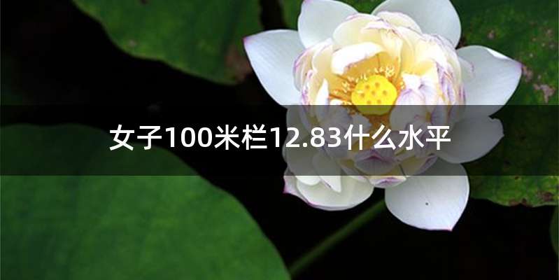 女子100米栏12.83什么水平