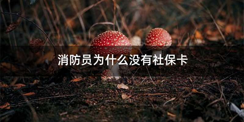 消防员为什么没有社保卡