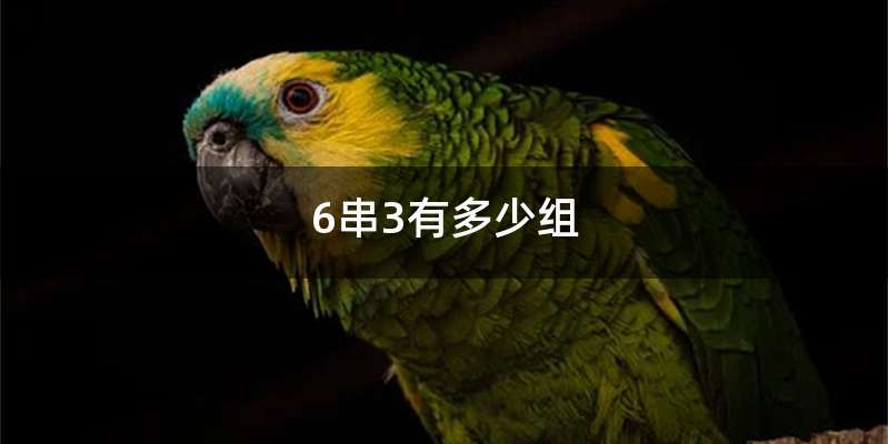 6串3有多少组
