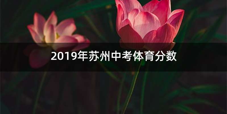 2019年苏州中考体育分数