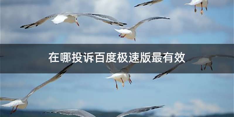在哪投诉百度极速版最有效