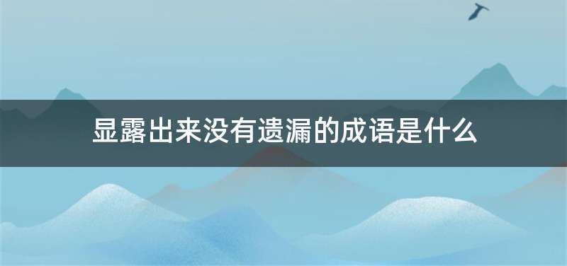 显露出来没有遗漏的成语是什么