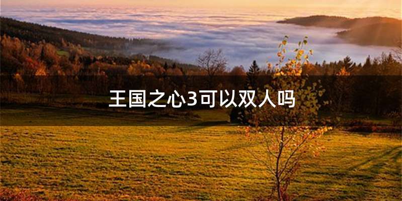 王国之心3可以双人吗