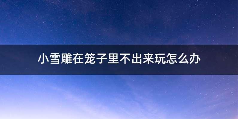 小雪雕在笼子里不出来玩怎么办