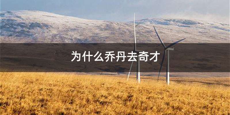 为什么乔丹去奇才