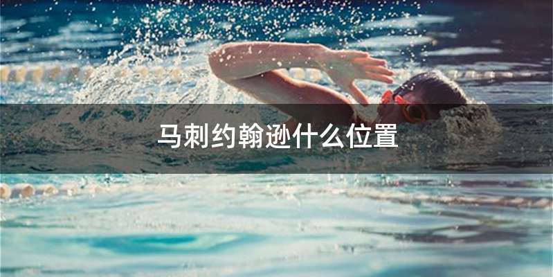 马刺约翰逊什么位置