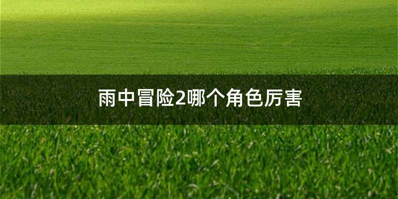 雨中冒险2哪个角色厉害