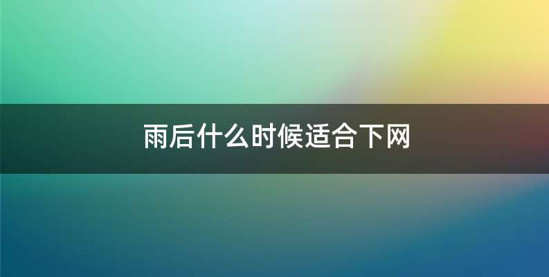 雨后什么时候适合下网