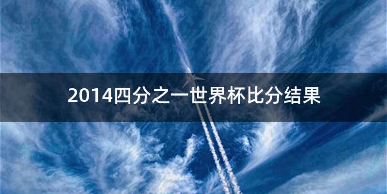 2014四分之一世界杯比分结果