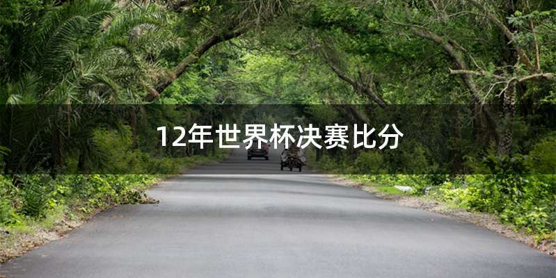 12年世界杯决赛比分