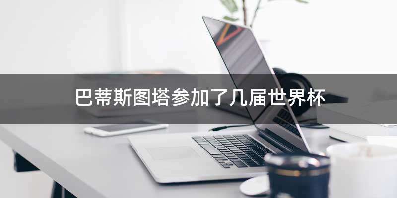 巴蒂斯图塔参加了几届世界杯