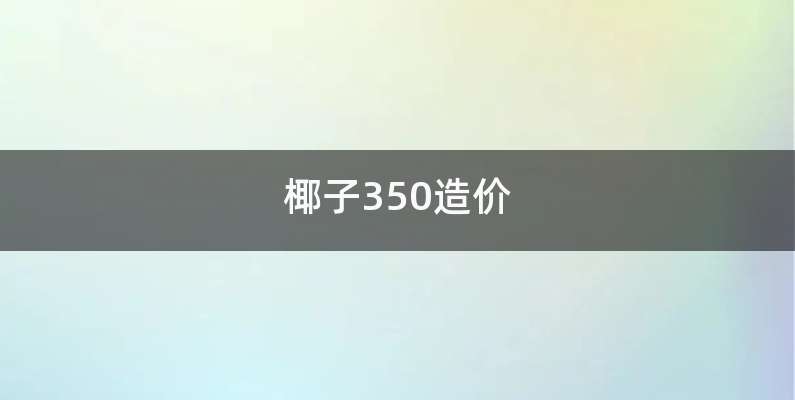 椰子350造价