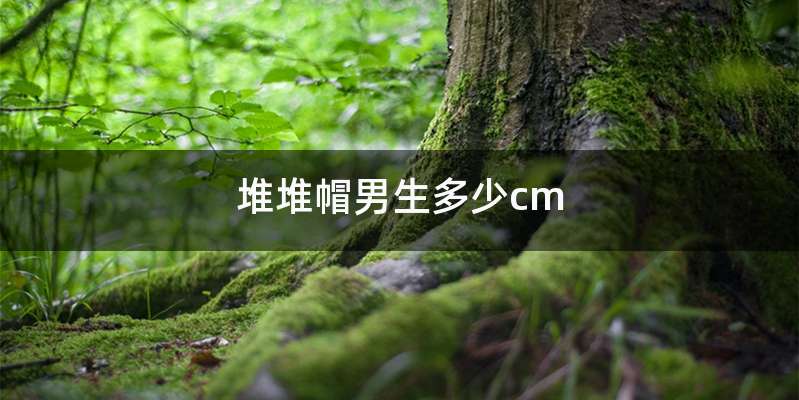 堆堆帽男生多少cm