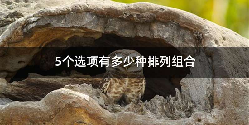 5个选项有多少种排列组合