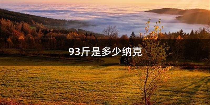 93斤是多少纳克