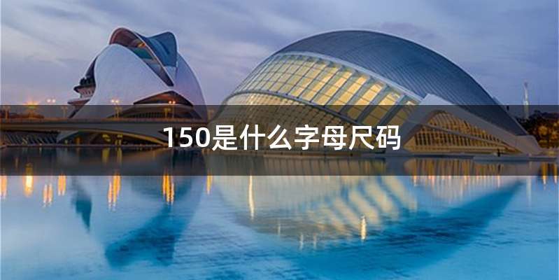 150是什么字母尺码