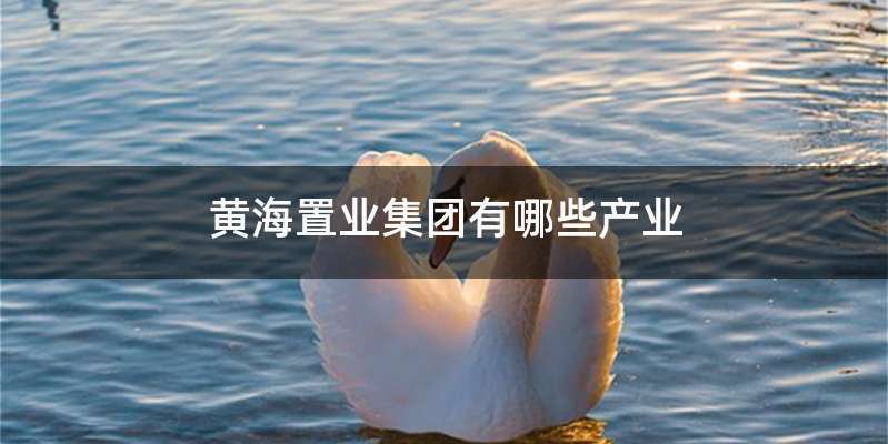 黄海置业集团有哪些产业