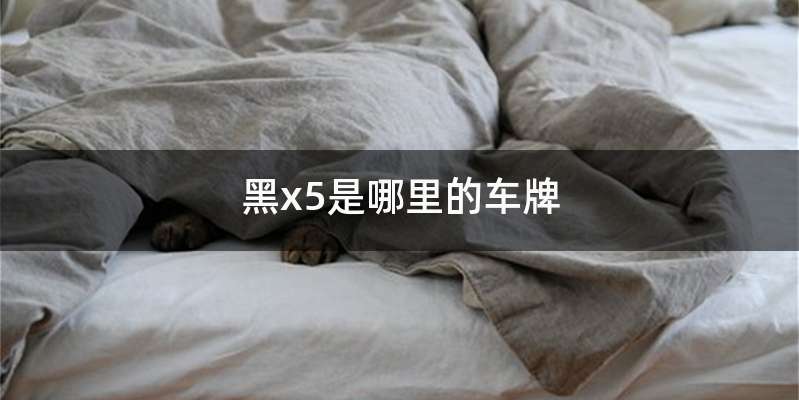 黑x5是哪里的车牌