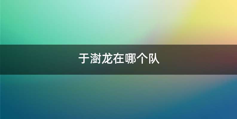 于澍龙在哪个队