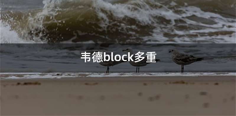 韦德block多重
