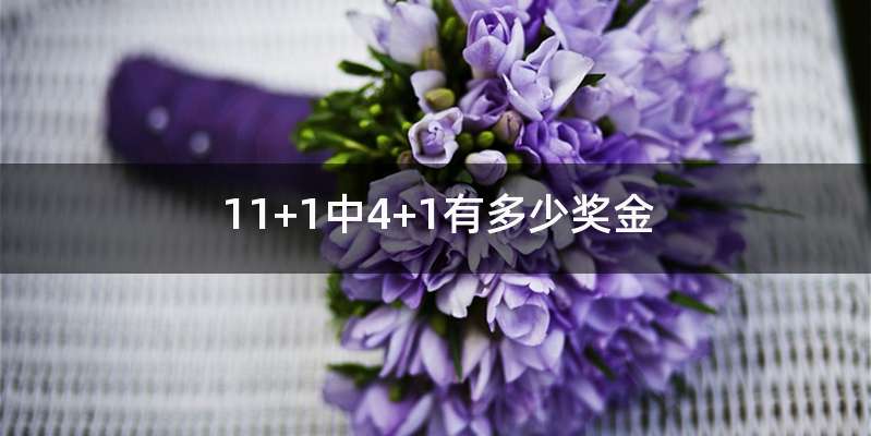 11+1中4+1有多少奖金