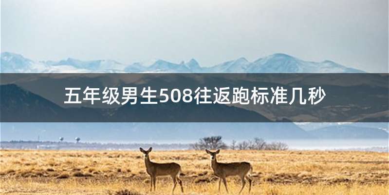 五年级男生508往返跑标准几秒